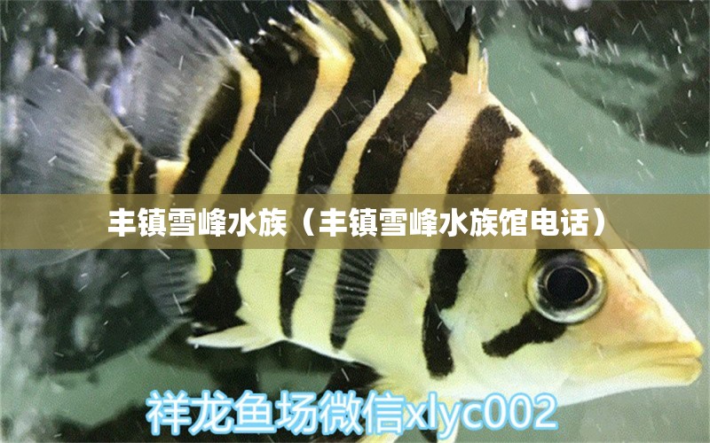 豐鎮(zhèn)雪峰水族（豐鎮(zhèn)雪峰水族館電話） 全國水族館企業(yè)名錄