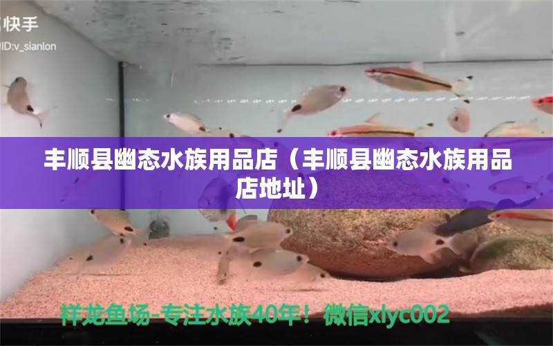 豐順縣幽態(tài)水族用品店（豐順縣幽態(tài)水族用品店地址）