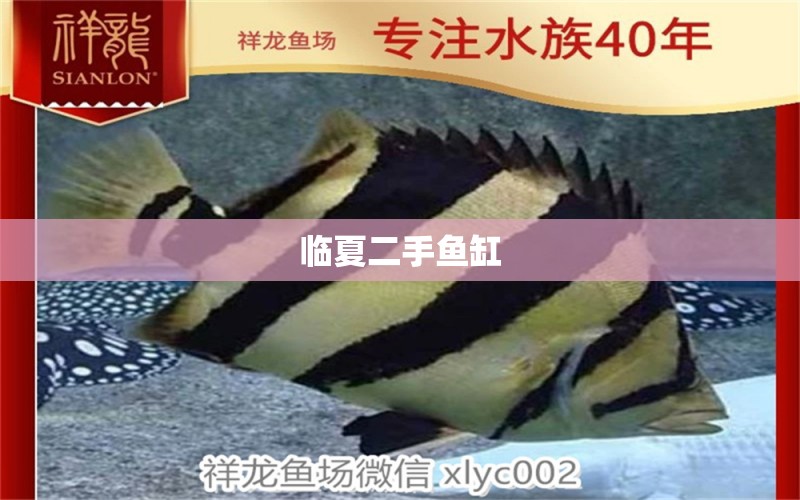 臨夏二手魚缸