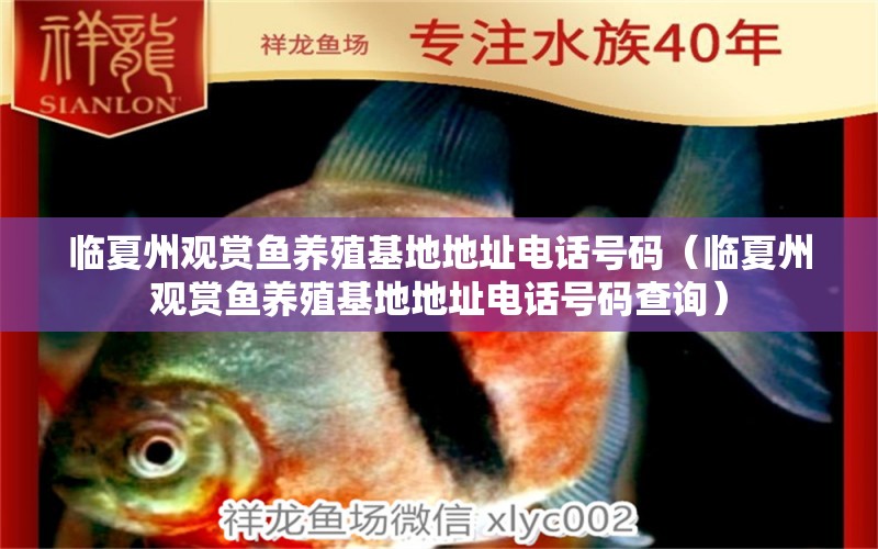 臨夏州觀賞魚養(yǎng)殖基地地址電話號(hào)碼（臨夏州觀賞魚養(yǎng)殖基地地址電話號(hào)碼查詢） 觀賞魚市場(chǎng)（混養(yǎng)魚）