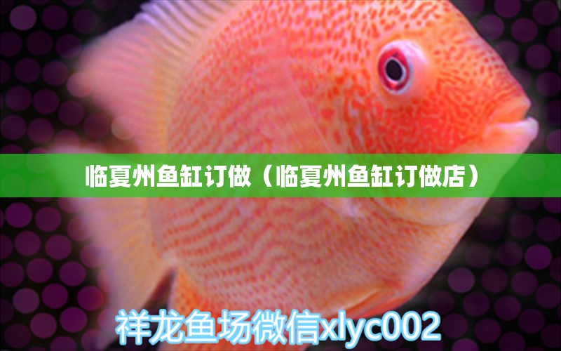 臨夏州魚缸訂做（臨夏州魚缸訂做店）