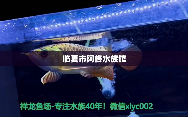 臨夏市阿佟水族館 全國水族館企業(yè)名錄