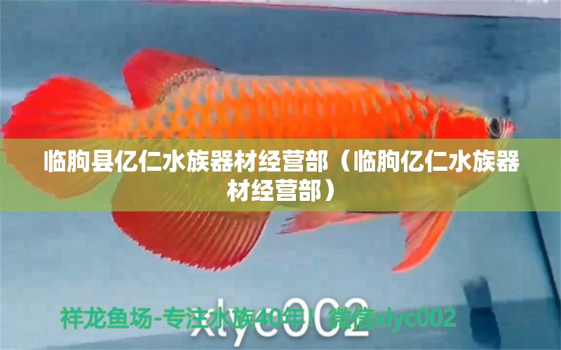 臨朐縣億仁水族器材經(jīng)營部（臨朐億仁水族器材經(jīng)營部） 全國觀賞魚市場 第1張