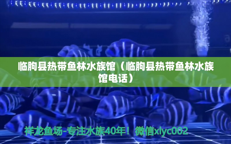 臨朐縣熱帶魚林水族館（臨朐縣熱帶魚林水族館電話） 全國(guó)水族館企業(yè)名錄