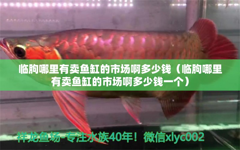 臨朐哪里有賣魚(yú)缸的市場(chǎng)啊多少錢(qián)（臨朐哪里有賣魚(yú)缸的市場(chǎng)啊多少錢(qián)一個(gè)）