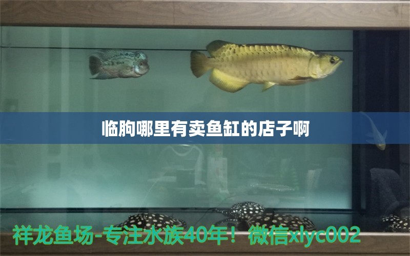 臨朐哪里有賣魚(yú)缸的店子啊