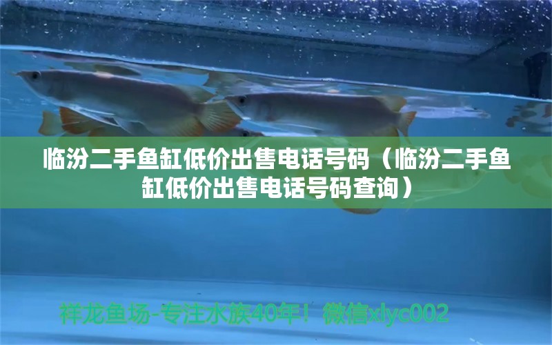 臨汾二手魚(yú)缸低價(jià)出售電話(huà)號(hào)碼（臨汾二手魚(yú)缸低價(jià)出售電話(huà)號(hào)碼查詢(xún)）