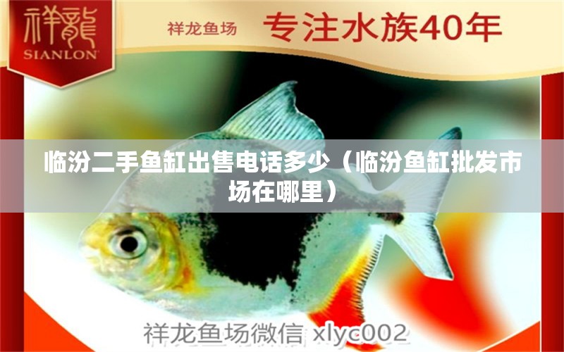 臨汾二手魚(yú)缸出售電話多少（臨汾魚(yú)缸批發(fā)市場(chǎng)在哪里）