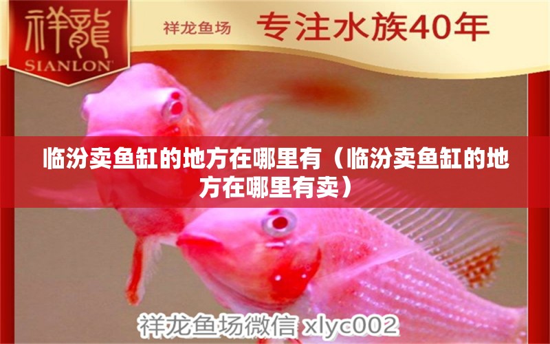 臨汾賣(mài)魚(yú)缸的地方在哪里有（臨汾賣(mài)魚(yú)缸的地方在哪里有賣(mài)）