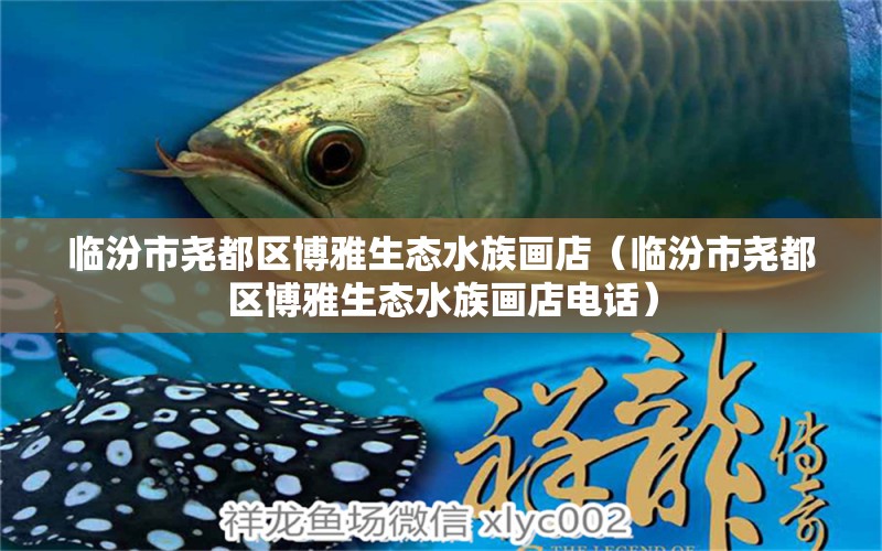 臨汾市堯都區(qū)博雅生態(tài)水族畫店（臨汾市堯都區(qū)博雅生態(tài)水族畫店電話）