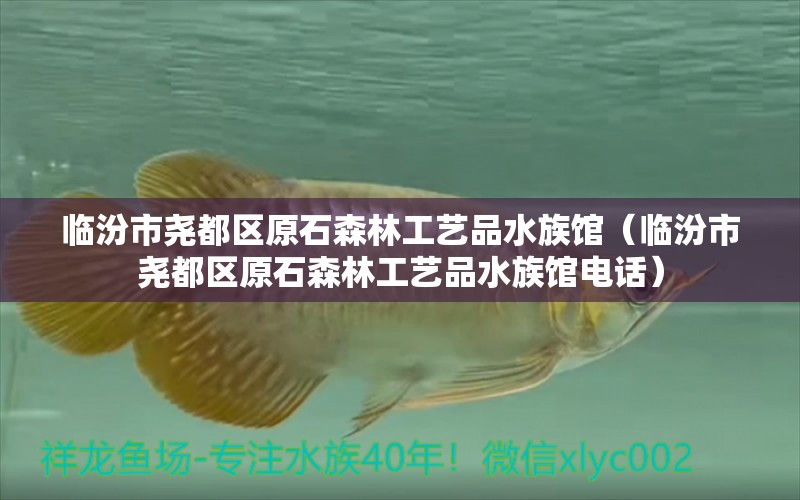 臨汾市堯都區(qū)原石森林工藝品水族館（臨汾市堯都區(qū)原石森林工藝品水族館電話）