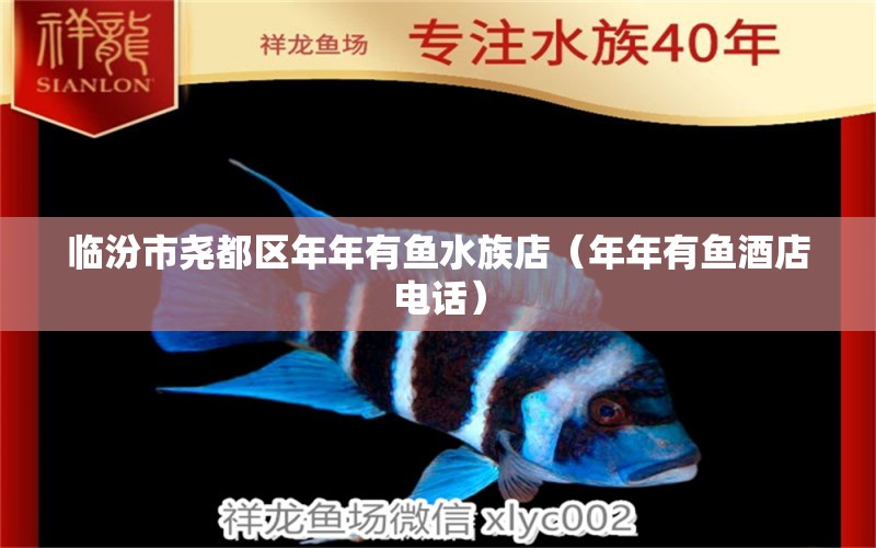 臨汾市堯都區(qū)年年有魚水族店（年年有魚酒店電話）