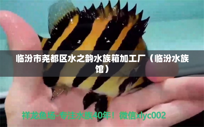 臨汾市堯都區(qū)水之韻水族箱加工廠（臨汾水族館）