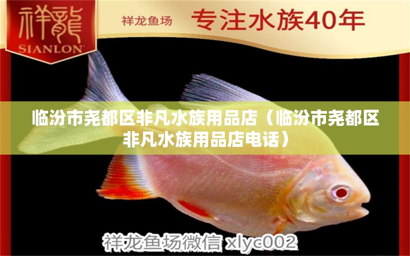 臨汾市堯都區(qū)非凡水族用品店（臨汾市堯都區(qū)非凡水族用品店電話） 水族用品