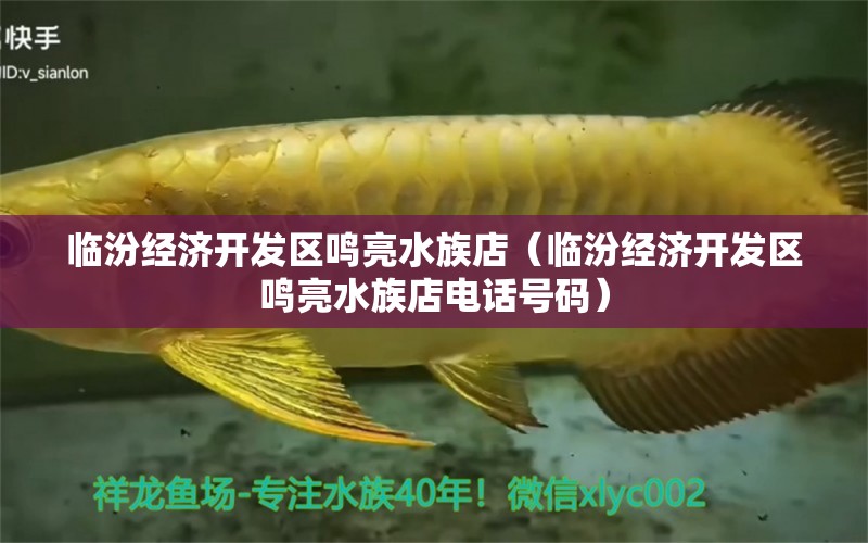 臨汾經(jīng)濟開發(fā)區(qū)鳴亮水族店（臨汾經(jīng)濟開發(fā)區(qū)鳴亮水族店電話號碼） 全國水族館企業(yè)名錄