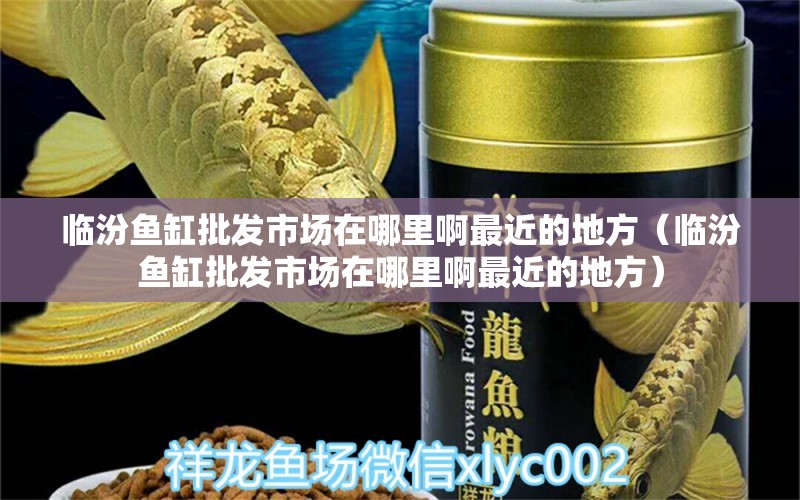 臨汾魚缸批發(fā)市場在哪里啊最近的地方（臨汾魚缸批發(fā)市場在哪里啊最近的地方）