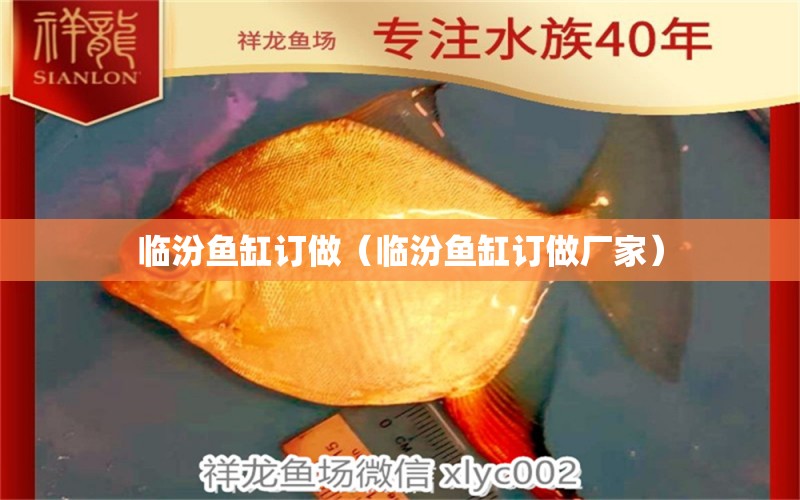 臨汾魚缸訂做（臨汾魚缸訂做廠家）