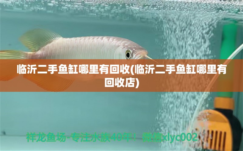 臨沂二手魚缸哪里有回收(臨沂二手魚缸哪里有回收店) 祥龍水族護(hù)理水