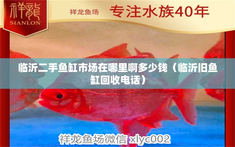 臨沂二手魚缸市場在哪里啊多少錢（臨沂舊魚缸回收電話） 廣州觀賞魚批發(fā)市場