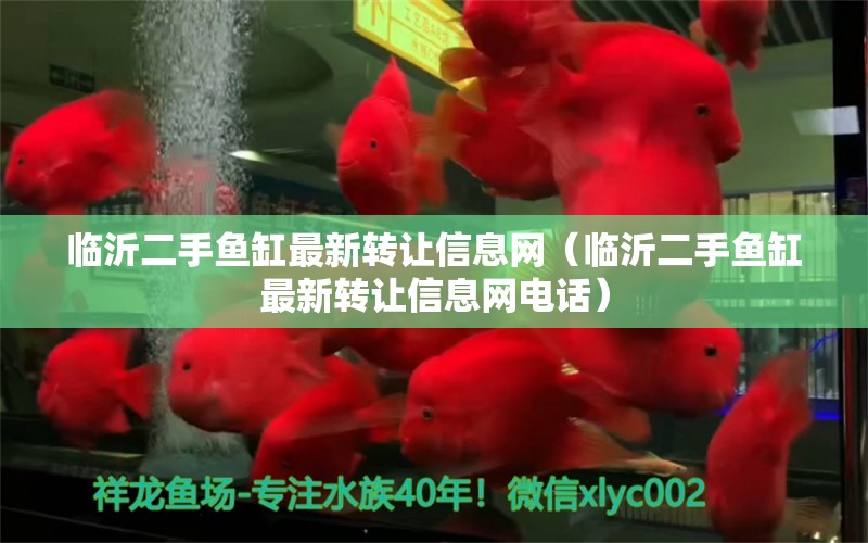 臨沂二手魚缸最新轉讓信息網(wǎng)（臨沂二手魚缸最新轉讓信息網(wǎng)電話） 祥龍水族醫(yī)院