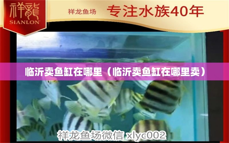 臨沂賣魚缸在哪里（臨沂賣魚缸在哪里賣）