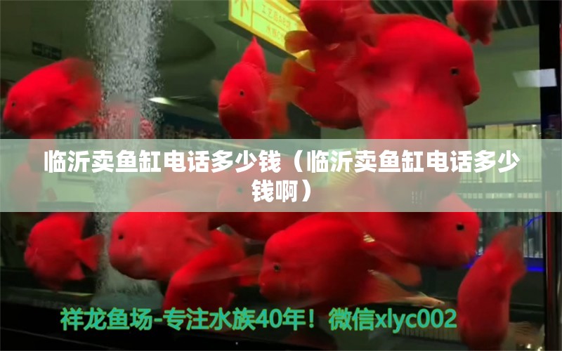 臨沂賣魚缸電話多少錢（臨沂賣魚缸電話多少錢?。?玫瑰銀版魚