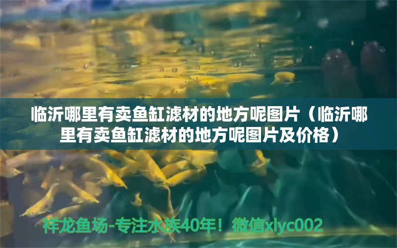 臨沂哪里有賣魚缸濾材的地方呢圖片（臨沂哪里有賣魚缸濾材的地方呢圖片及價(jià)格）