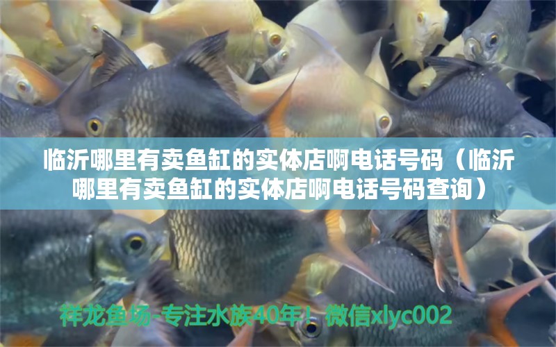 臨沂哪里有賣魚缸的實體店啊電話號碼（臨沂哪里有賣魚缸的實體店啊電話號碼查詢） 水族燈（魚缸燈）