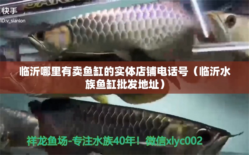 臨沂哪里有賣魚缸的實體店鋪電話號（臨沂水族魚缸批發(fā)地址）