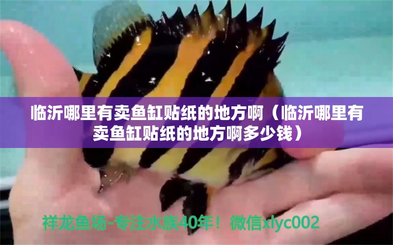 臨沂哪里有賣魚缸貼紙的地方?。ㄅR沂哪里有賣魚缸貼紙的地方啊多少錢） 定時器/自控系統(tǒng) 第1張