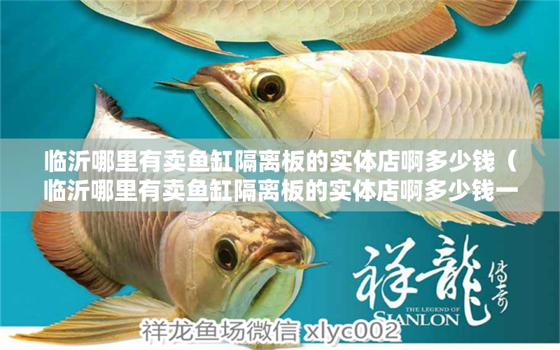 臨沂哪里有賣魚缸隔離板的實體店啊多少錢（臨沂哪里有賣魚缸隔離板的實體店啊多少錢一個） 祥龍水族醫(yī)院