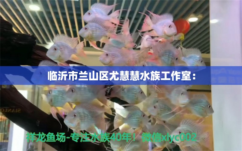 臨沂市蘭山區(qū)尤慧慧水族工作室：