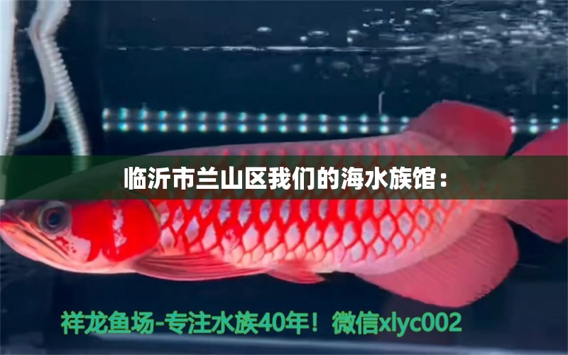 臨沂市蘭山區(qū)我們的海水族館：