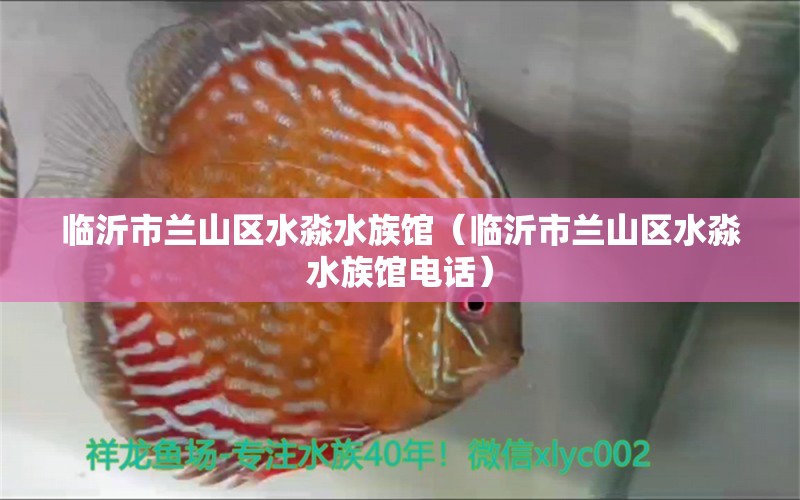 臨沂市蘭山區(qū)水淼水族館（臨沂市蘭山區(qū)水淼水族館電話） 全國水族館企業(yè)名錄