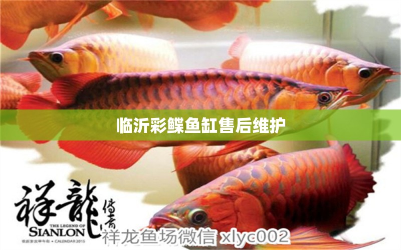 臨沂彩鰈魚(yú)缸售后維護(hù)