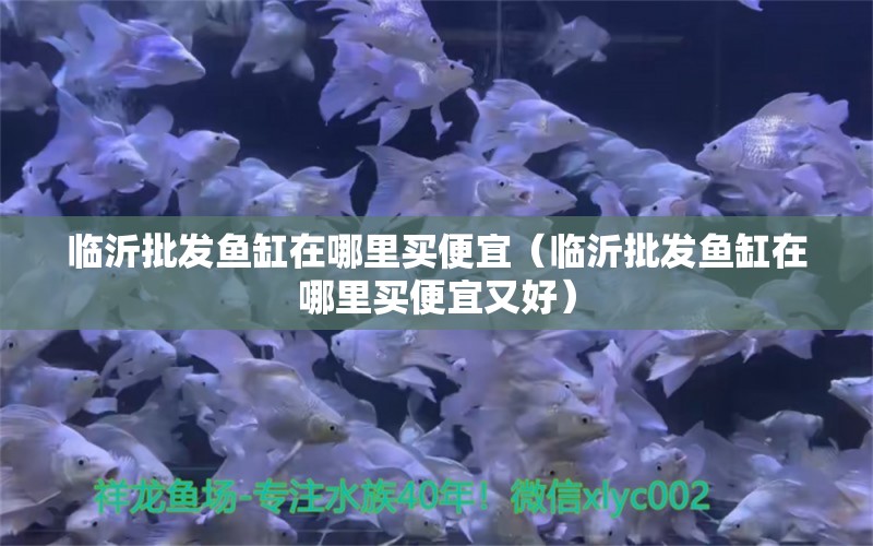 臨沂批發(fā)魚缸在哪里買便宜（臨沂批發(fā)魚缸在哪里買便宜又好）