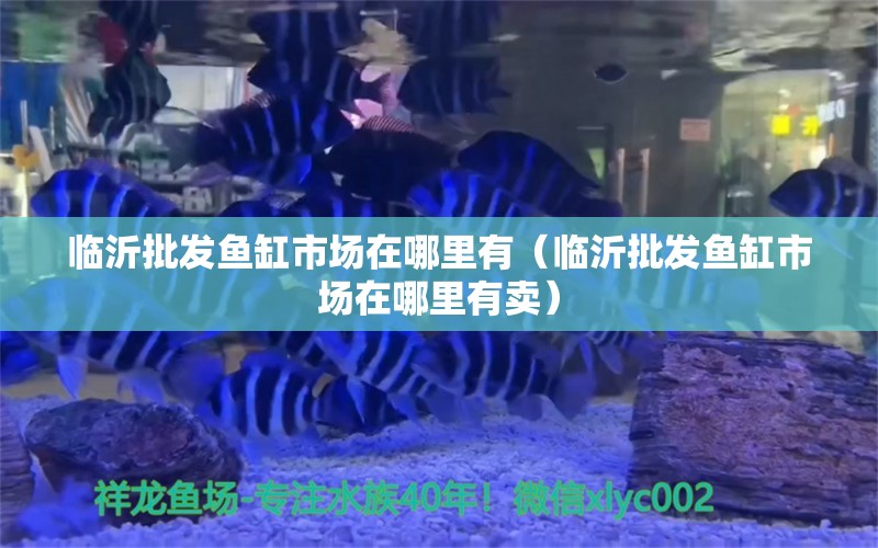 臨沂批發(fā)魚(yú)缸市場(chǎng)在哪里有（臨沂批發(fā)魚(yú)缸市場(chǎng)在哪里有賣(mài)）