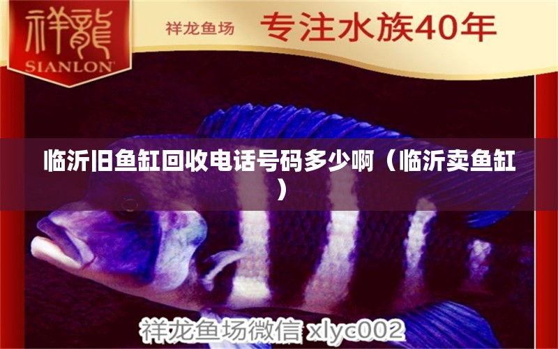 臨沂舊魚缸回收電話號(hào)碼多少?。ㄅR沂賣魚缸）