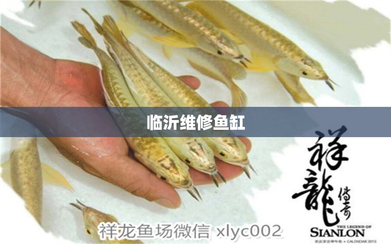 臨沂維修魚缸 其他品牌魚缸