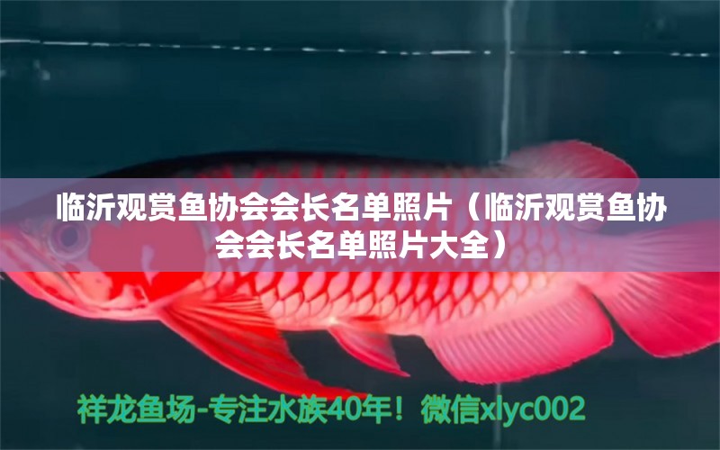 臨沂觀賞魚協(xié)會(huì)會(huì)長名單照片（臨沂觀賞魚協(xié)會(huì)會(huì)長名單照片大全）