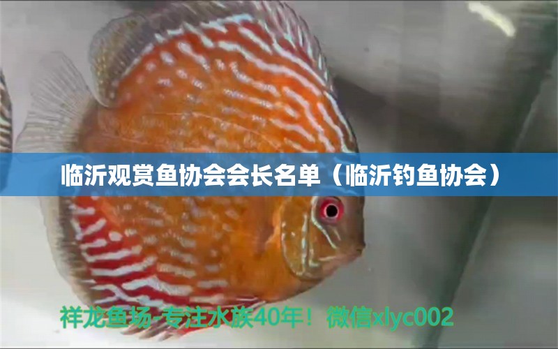 臨沂觀賞魚協(xié)會會長名單（臨沂釣魚協(xié)會） 垂釣樂園