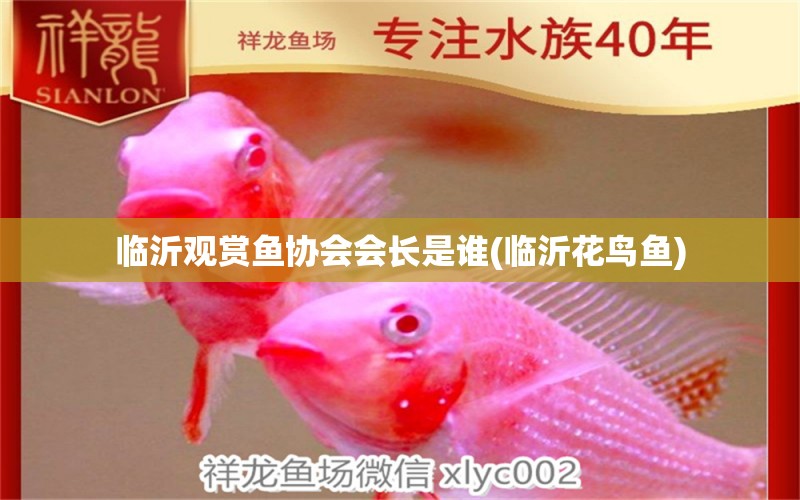 臨沂觀賞魚協(xié)會(huì)會(huì)長是誰(臨沂花鳥魚)