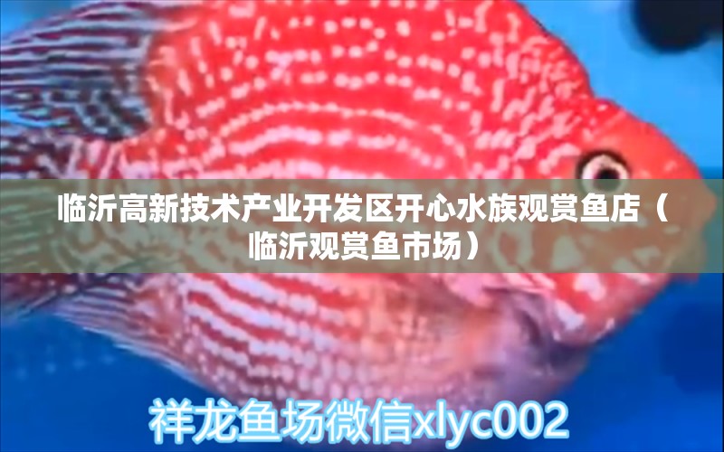 臨沂高新技術(shù)產(chǎn)業(yè)開發(fā)區(qū)開心水族觀賞魚店（臨沂觀賞魚市場）