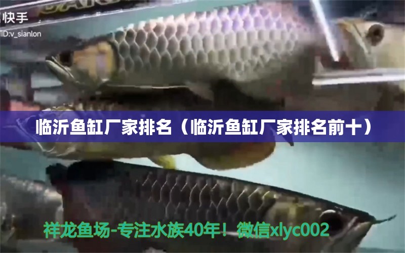 臨沂魚缸廠家排名（臨沂魚缸廠家排名前十）