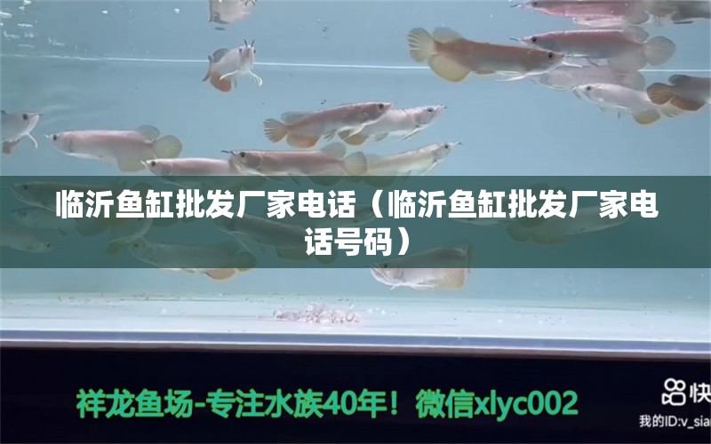 臨沂魚缸批發(fā)廠家電話（臨沂魚缸批發(fā)廠家電話號碼） 祥龍水族醫(yī)院