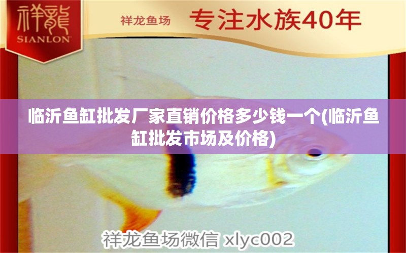 臨沂魚缸批發(fā)廠家直銷價(jià)格多少錢一個(gè)(臨沂魚缸批發(fā)市場(chǎng)及價(jià)格)