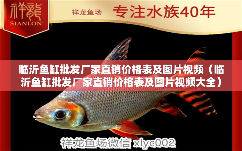 臨沂魚缸批發(fā)廠家直銷價格表及圖片視頻（臨沂魚缸批發(fā)廠家直銷價格表及圖片視頻大全）