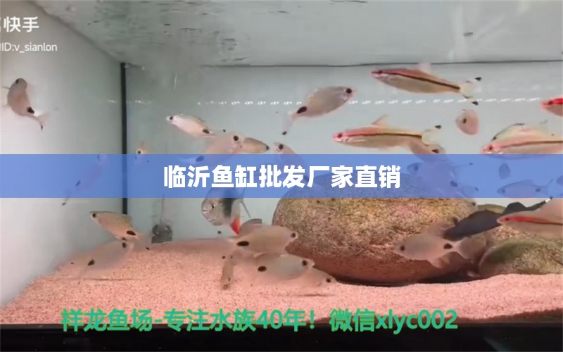 臨沂魚缸批發(fā)廠家直銷