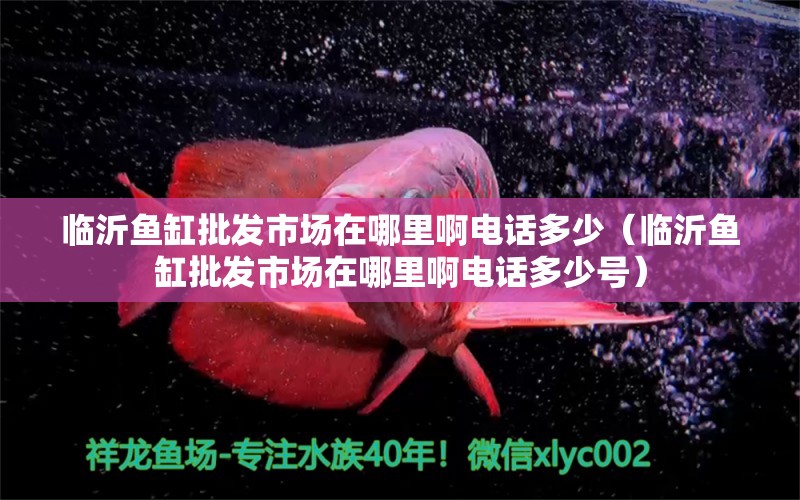 臨沂魚缸批發(fā)市場在哪里啊電話多少（臨沂魚缸批發(fā)市場在哪里啊電話多少號）