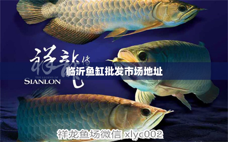 臨沂魚(yú)缸批發(fā)市場(chǎng)地址 養(yǎng)魚(yú)知識(shí)